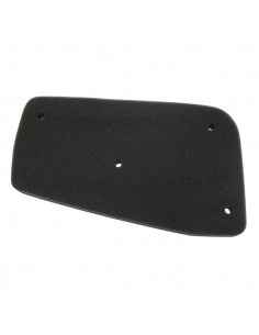 Filtro Aire Meiwa Peugeot SV 100