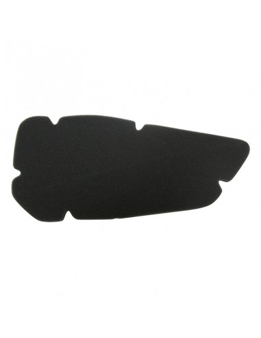 Filtro Aire Meiwa Piaggio Hexagon LXT