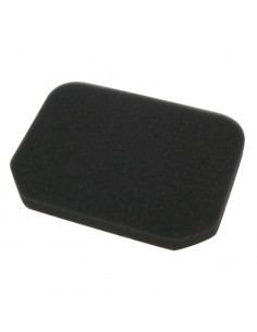 Filtro Aire Meiwa Suzuki Burgman 250