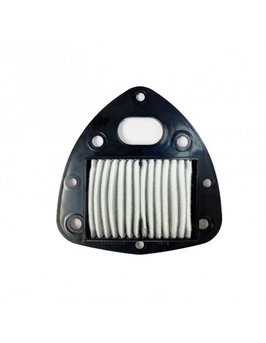 Filtro Aire Meiwa Suzuki VL800 Intruder C 800/M 80