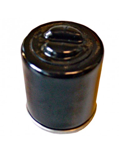 Filtro Aceite Meiwa KTM