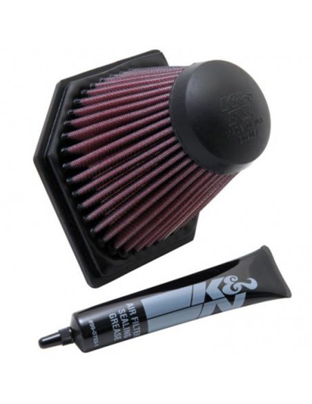 Filtro Aire K&N BMW K 1200 R KN