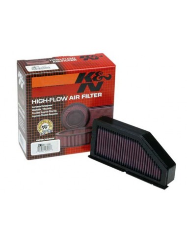 Filtro Aire K&N BMW 1100 R