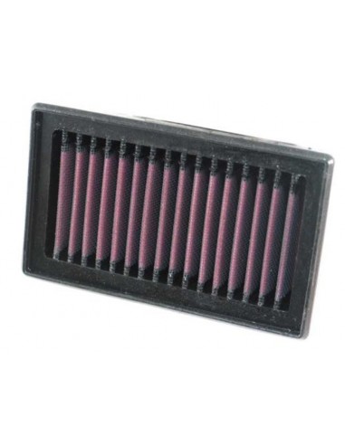 Filtro Aire K&N BMW F 800 S / R