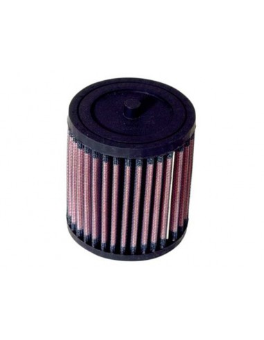 Filtro Aire K&N Honda Quad TRX TE 250