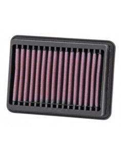 Filtro Aire K&N Yamaha Raider 1900