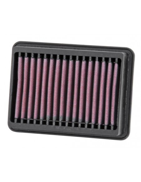 Filtro Aire K&N Yamaha Raider 1900