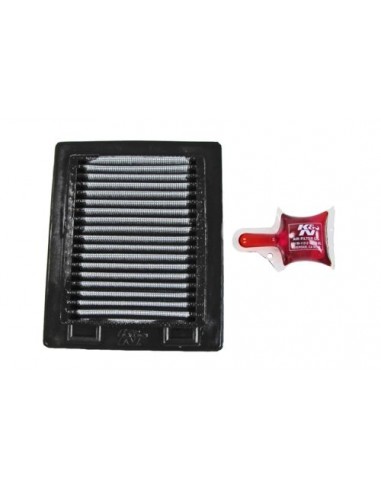 Filtro Aire K&N Yamaha TTR 225