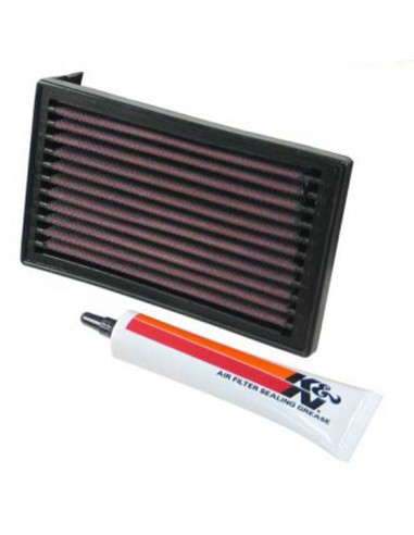 Filtro Aire K&N Yamaha XTE600