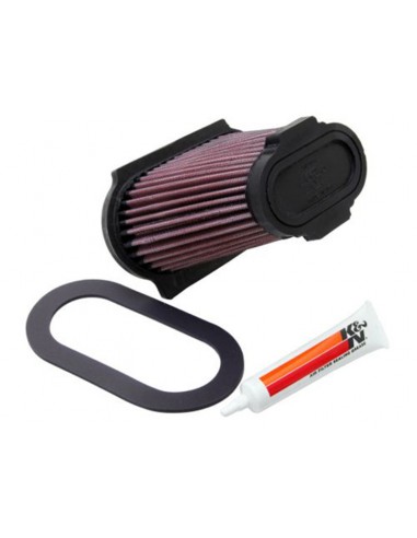 Filtro Aire K&N Yamaha Raptor 660