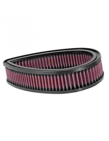 Filtro Aire K&N recambio Series RK