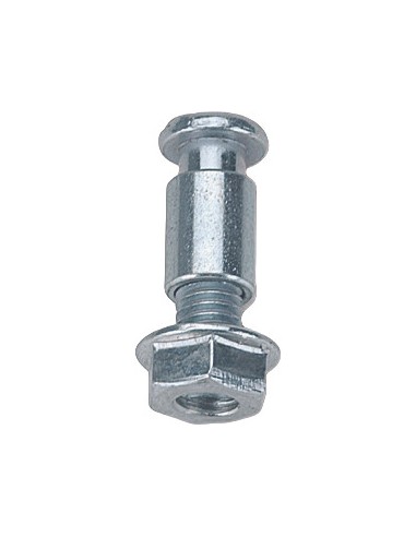 Conjunto de Tornillos de Fijación Domino