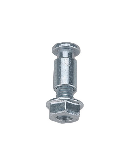 Conjunto de Tornillos de Fijación Domino