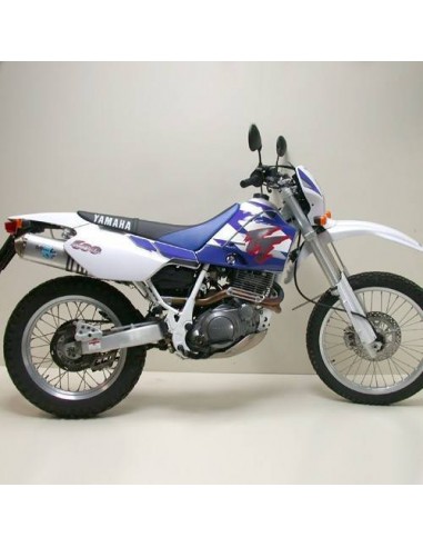 Escape LeoVince Yamaha TTE / TT 600 R